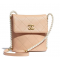 chanel Small Hobo Bag Beige