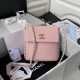 chanel Small Hobo Bag Light Pink