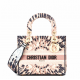 Dior phantom powder light gold embroidery series Lady bag