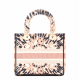 Dior phantom powder light gold embroidery series Lady bag