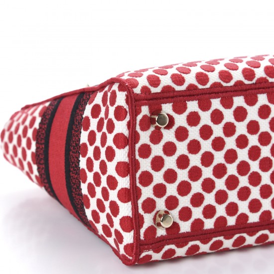 DIOR Canvas Medium DiorAmour Dots Lady D-Lite Red